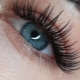 The effect of wet eyelashes in extension