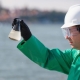 Ecologist: who is this and what does he do?