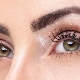 How fast do eyelashes grow and what does it depend on?