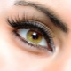What are the best false eyelashes and how to choose?