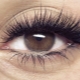 Ray-effect eyelash extensions