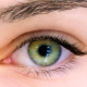 Extension of the corners of the eyelashes