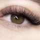 All About Tape Eyelashes