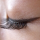 All About False Beam Eyelashes