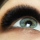 All About 6D Eyelash Extension