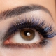 All About Glitter Eyelashes