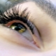 All about the curl of B-shaped eyelashes for extension
