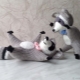 How to make an amigurumi raccoon?