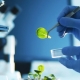 Who is a biotechnologist and what does he do?
