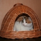 Weaving a cat house from newspaper tubes