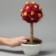 Making topiary from fruits