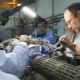 Nuclear physicists: who are they and what do they do?