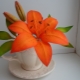 Making lilies from foamiran
