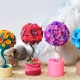 How to make a topiary on March 8?