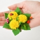 Foamiran dandelion manufacturing technology
