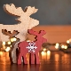 All about New Year's reindeer