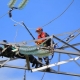 All about the profession of an electrician-lineman