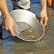 All about gold panning