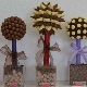All about candy topiary