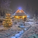 How to celebrate the New Year in the country?