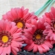 How to make a gerbera from foamiran?
