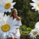 How to make chamomile from isolone?