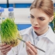 Who is a biologist and how do you become one?