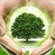 Personal growth: definition and methods
