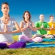 Features and methods of meditation