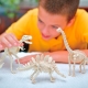 Features of Archaeologist Kits for Kids