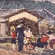 Features of Japanese kinusaiga technique