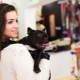 All About Pet Shop Sellers