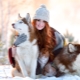 Husky: characteristics, varieties and cultivation