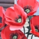 How to make poppy from isolone?
