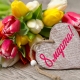 Choosing flowers for March 8