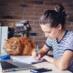 All about freelancers