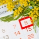 The history of the holiday on March 8 and features of the celebration