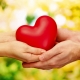 All about generosity