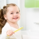 How to teach a child to brush their teeth?