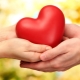 How to become kinder?