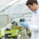 Plant related professions