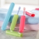 All About Toothbrush Cases