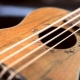 Bass ukulele: characteristics and popular models