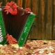 How is the accordion different from the button accordion and accordion?