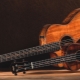 How is a guitar different from a ukulele?