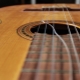 What to do if a guitar string breaks?