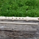 What is a recorder and how to choose one?