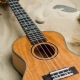 Ukulele designs and colors