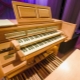Electric organs: description and device