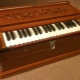 Harmonium: characteristics and types